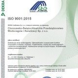 ISO 9001:2015 (2023)